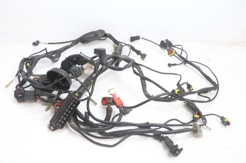 photo de CABLEADO DUCATI SS IE DS CARENEE 1000 (2002 - 2006) - Vista principal