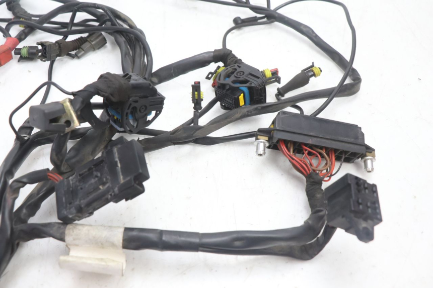 photo de CABLEADO DUCATI SS IE DS CARENEE 1000 (2002 - 2006) - Primer plano técnico