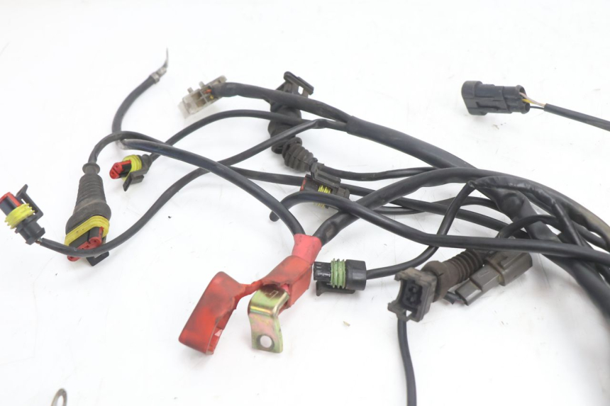 photo de CABLEADO DUCATI SS IE DS CARENEE 1000 (2002 - 2006) - Detalles de los puntos de fijación