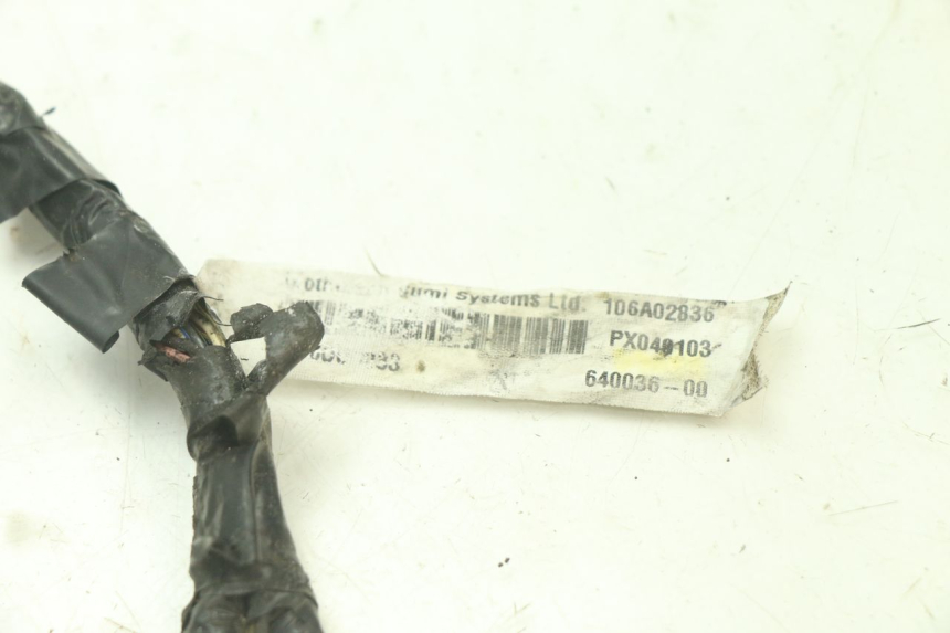 photo de CABLEADO GILERA STALKER 50 (2004 - 2014) - Vista general del producto