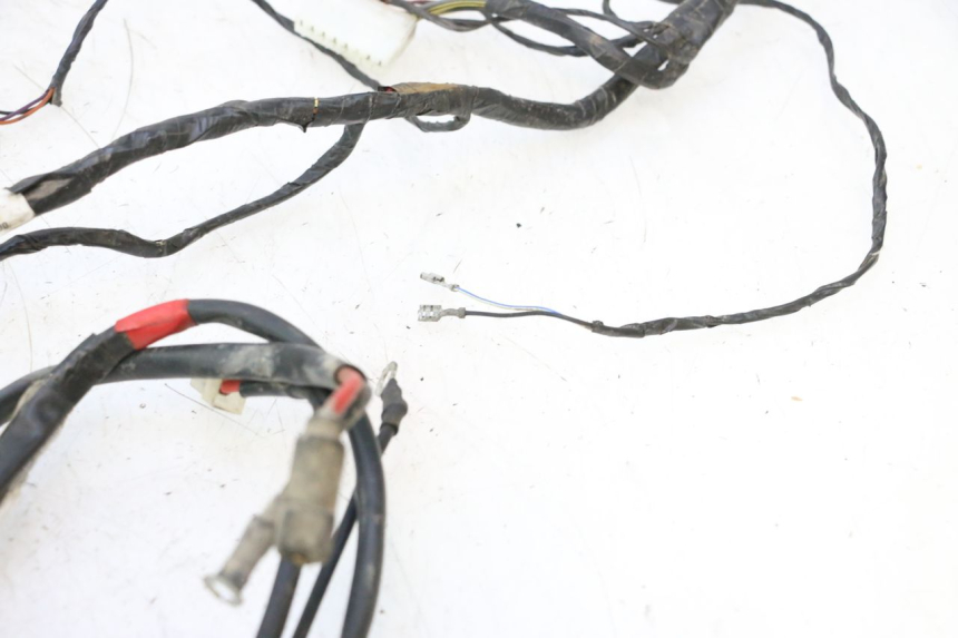 photo de CABLEADO GILERA STALKER 50 (2004 - 2014) - Zoom sobre los componentes