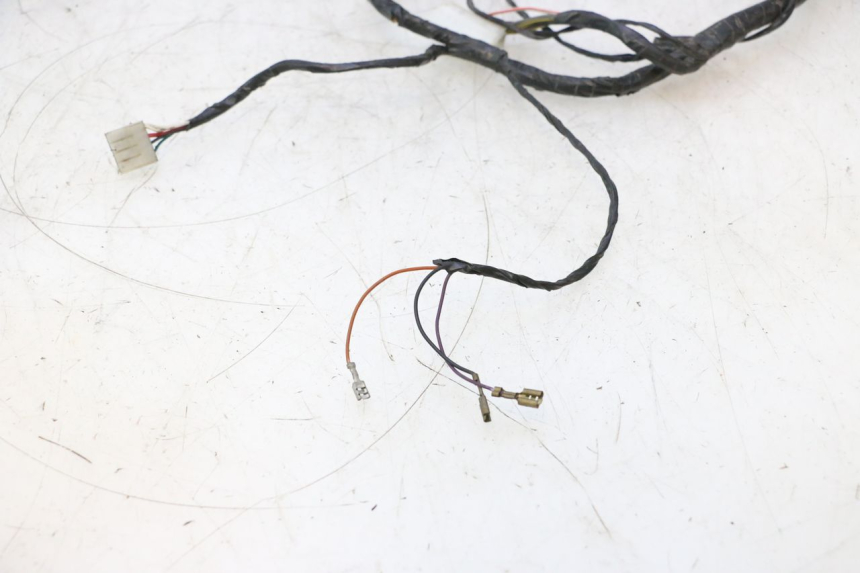 photo de CABLEADO GILERA STALKER 50 (2004 - 2014) - Vista general del producto