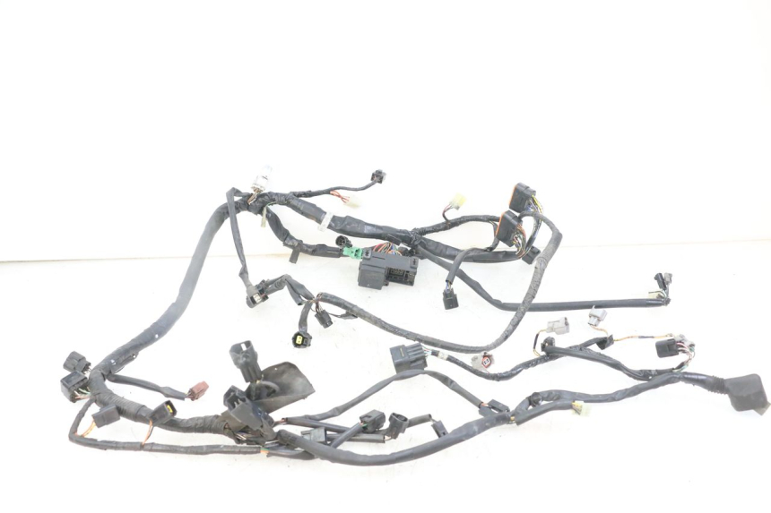 photo de CABLEADO SUZUKI GSX F GSXF 650 (2007 - 2015) - Vista principal