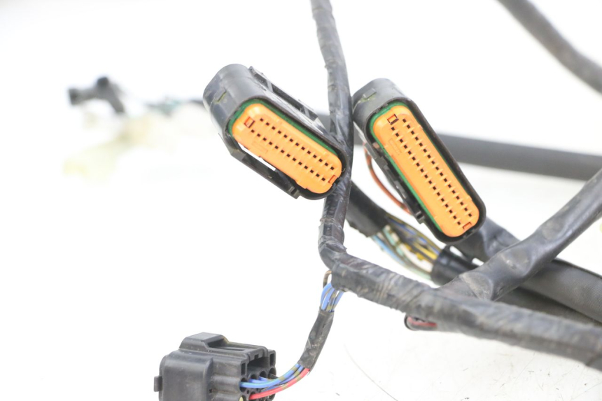 photo de CABLEADO SUZUKI GSX F GSXF 650 (2007 - 2015) - Zoom estado de uso