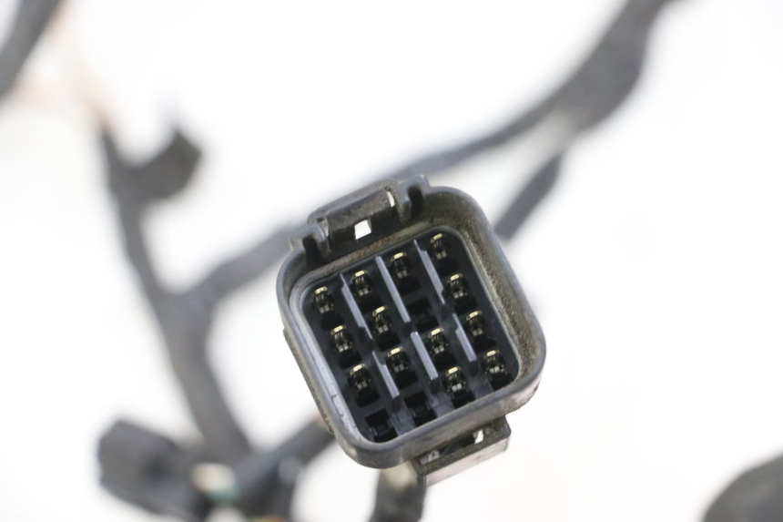 photo de CABLEADO SUZUKI GSX F GSXF 650 (2007 - 2015) - Vista general del producto