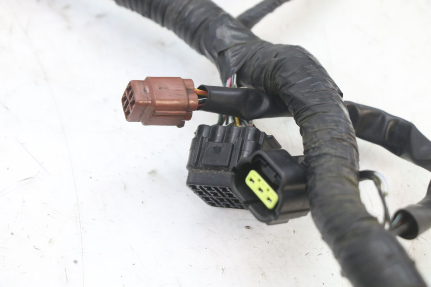 photo de CABLEADO SUZUKI GSX F GSXF 650 (2007 - 2015) - Vista general del producto