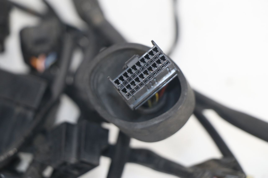 photo de CABLEADO SUZUKI XF FREEWIND 650 (1997 - 2003) - Otra perspectiva