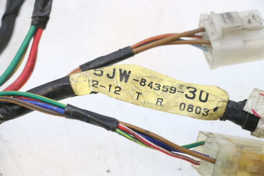 photo de CARENADO FRONTAL CABLEADO YAMAHA FJR 1300 (2001 - 2005) - Detalle de la pieza