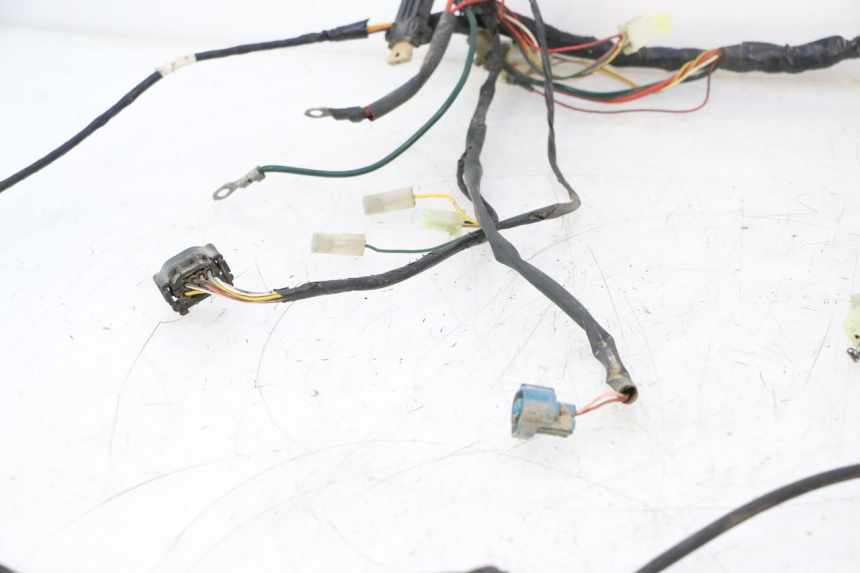 photo de CABLEADO PEUGEOT TKR TREKKER FURIOUS 50 (2005 - 2014) - Zoom sobre los componentes