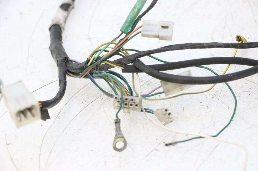 photo de CABLEADO PEUGEOT TREKKER 50 (1995 - 2004) - Zoom sobre los componentes
