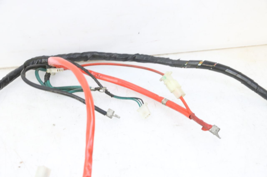 photo de CABLEADO PEUGEOT TWEET 4T 50 (2018 - 2022) - Recambio usado revisado
