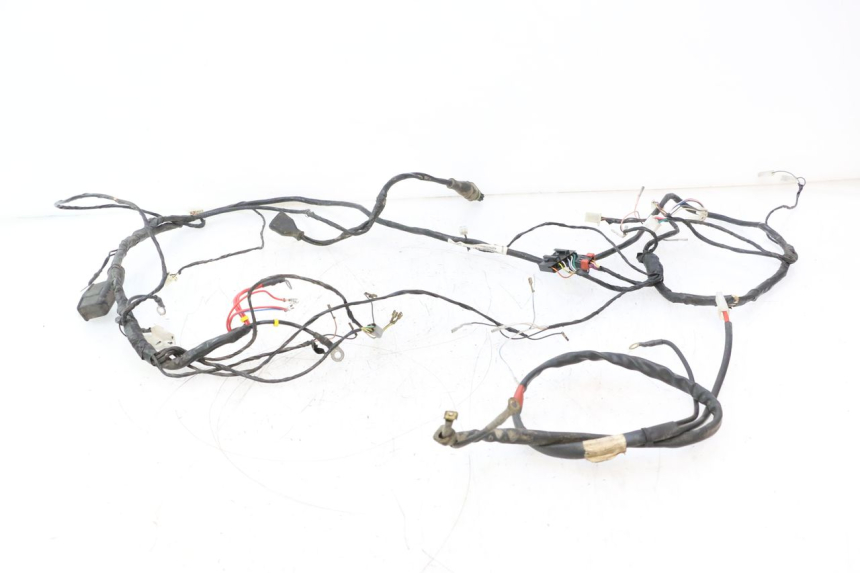 photo de CABLEADO PIAGGIO TYPHOON 50 (2000 - 2009) - Vista principal