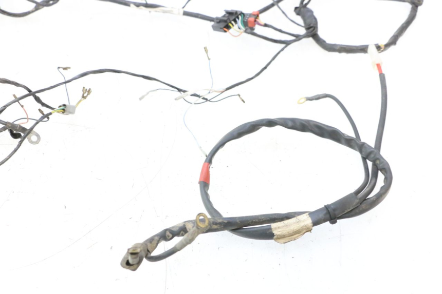 photo de CABLEADO PIAGGIO TYPHOON 50 (2000 - 2009) - Características distintivas
