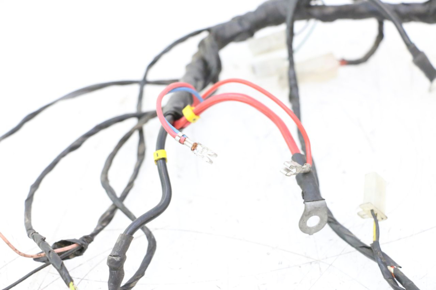 photo de CABLEADO PIAGGIO TYPHOON 50 (2000 - 2009) - Zoom estado de uso