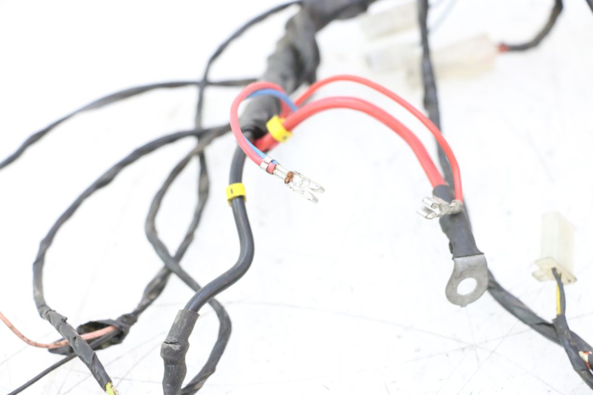 photo de CABLEADO PIAGGIO TYPHOON 50 (2000 - 2009) - Otra perspectiva