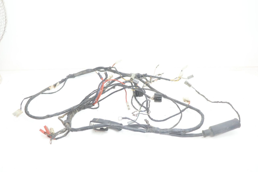photo de CABLEADO PIAGGIO TYPHOON 50 (2000 - 2009) - Vista principal