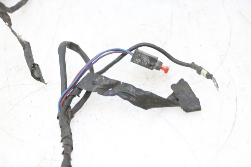 photo de CABLEADO PIAGGIO VESPA LX 2T 50 (2005 - 2013) - Zoom sobre los componentes
