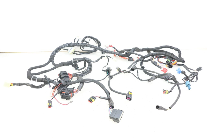 photo de CABLEADO PIAGGIO VESPA PRIMAVERA 4T 50 (2021 - 2024) - Vista principal