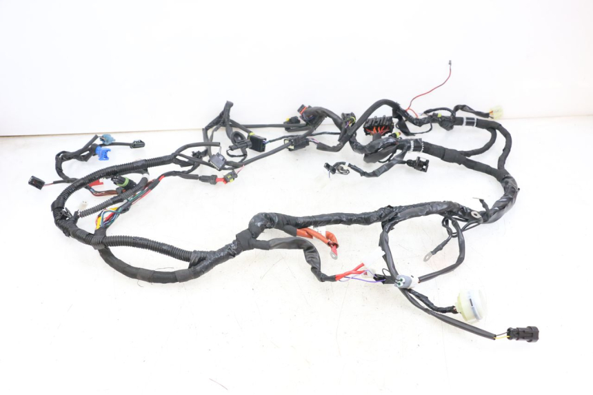 photo de CABLEADO PIAGGIO VESPA PRIMAVERA 4T 50 (2021 - 2024) - Vista general del producto