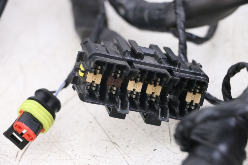 photo de CABLEADO PIAGGIO VESPA PRIMAVERA 4T 50 (2021 - 2024) - Detalles de los puntos de fijación