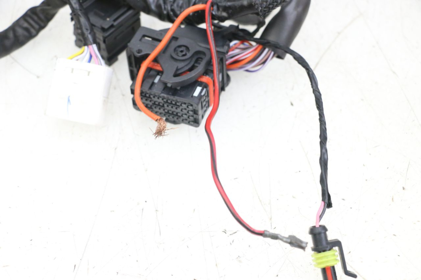 photo de CABLEADO PIAGGIO VESPA PRIMAVERA 4T 50 (2021 - 2024) - Marcados y referencias originales