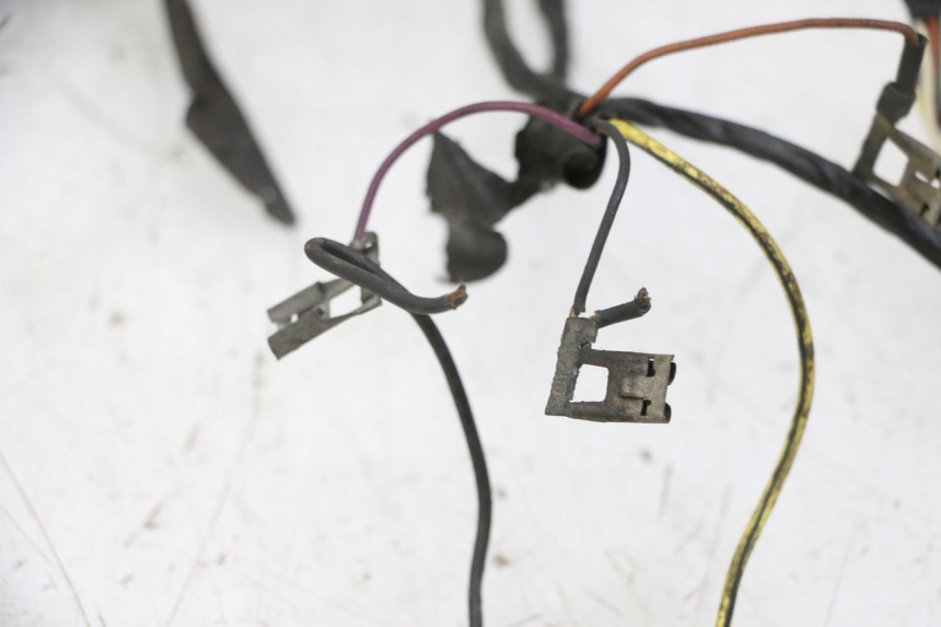 photo de CABLEADO PIAGGIO VESPA S 2T 50 (2007 - 2014) - Primer plano técnico