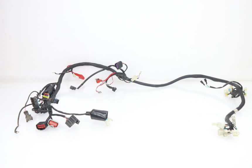 photo de CABLEADO JM MOTORS VIPER 4T 50 (2015 - 2022) - Vista principal