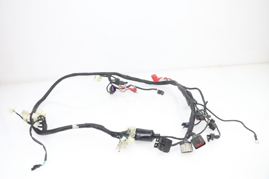 photo de CABLEADO JM MOTORS VIPER 4T 50 (2015 - 2022) - Detalle de la pieza