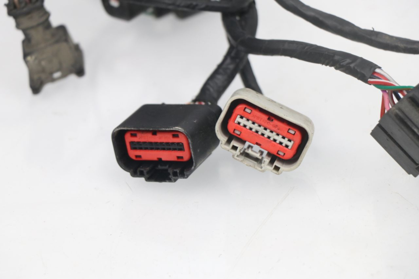 photo de CABLEADO JM MOTORS VIPER 4T 50 (2015 - 2022) - Características distintivas