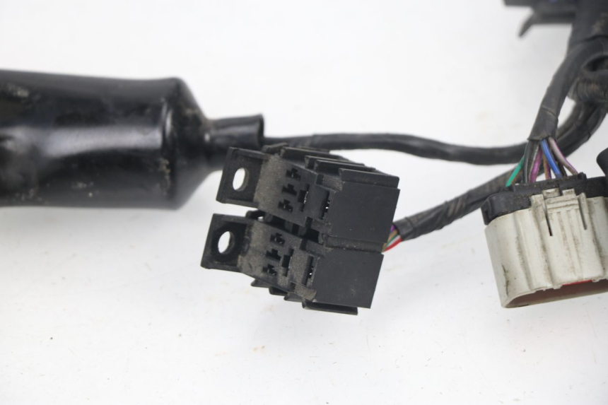 photo de CABLEADO JM MOTORS VIPER 4T 50 (2015 - 2022) - Zoom estado de uso