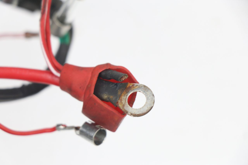 photo de CABLEADO JM MOTORS VIPER 4T 50 (2015 - 2022) - Otra perspectiva