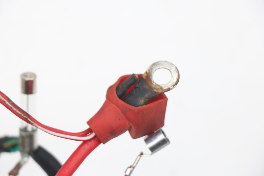 photo de CABLEADO JM MOTORS VIPER 4T 50 (2015 - 2022) - Primer plano técnico