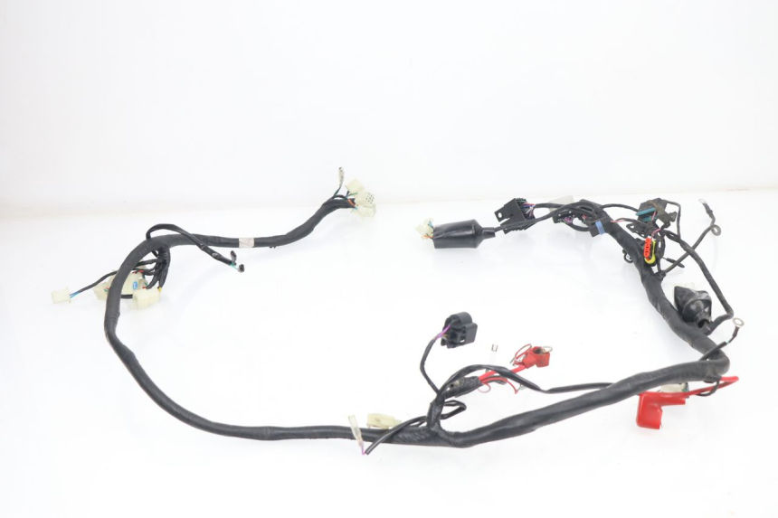 photo de CABLEADO JM MOTORS VIPER 4T 50 (2015 - 2022) - Vista general del producto