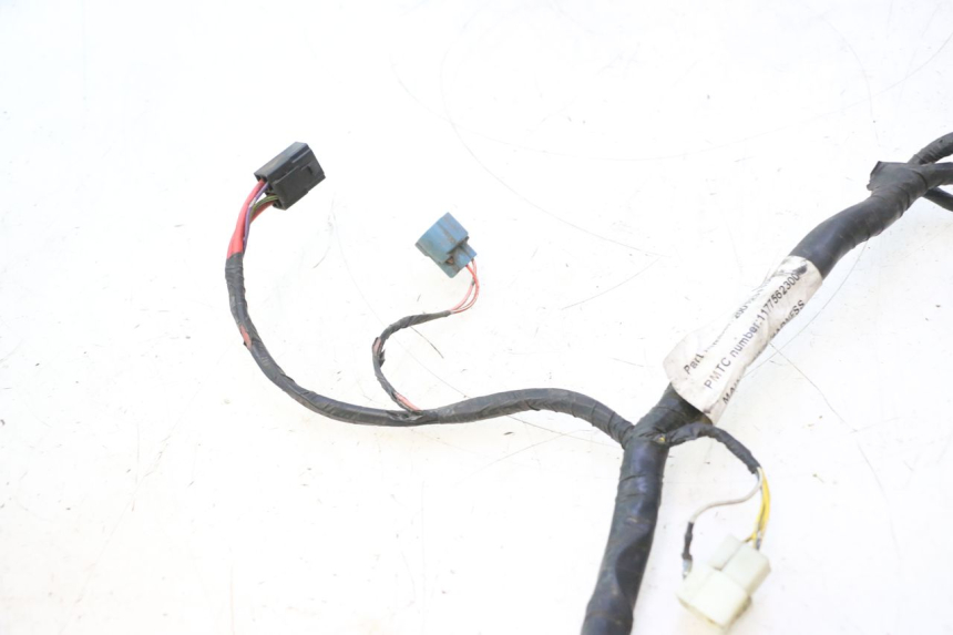 photo de CABLEADO PEUGEOT VIVACITY NEW 2T 50 (2008 - 2017) - Zoom sobre los componentes