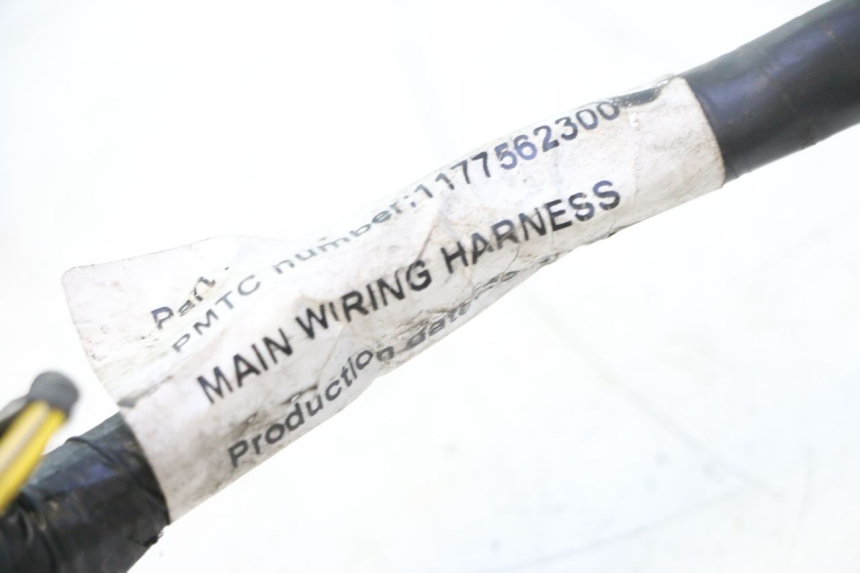 photo de CABLEADO PEUGEOT VIVACITY NEW 2T 50 (2008 - 2017) - Perfil de la pieza de repuesto