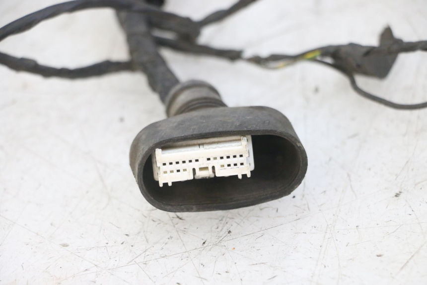 photo de CABLEADO PEUGEOT VIVACITY NEW 4T 50 (2008 - 2017) - Recambio usado revisado