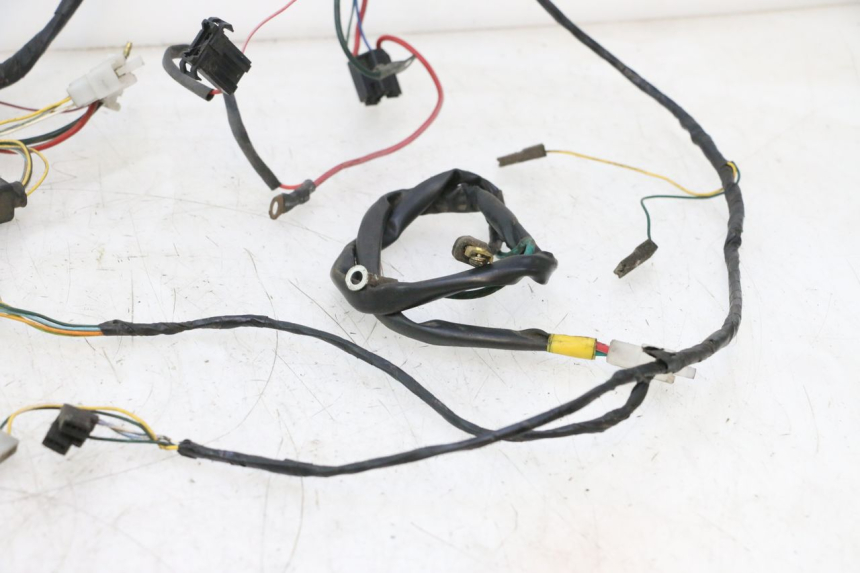 photo de CABLEADO PEUGEOT VIVACITY 50 (2004 - 2009) - Zoom sobre los componentes