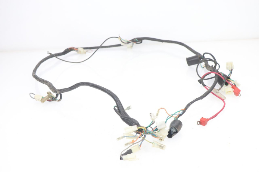 photo de CABLEADO BHM WACO 4T 50 (2008 - 2015) - Primer plano técnico