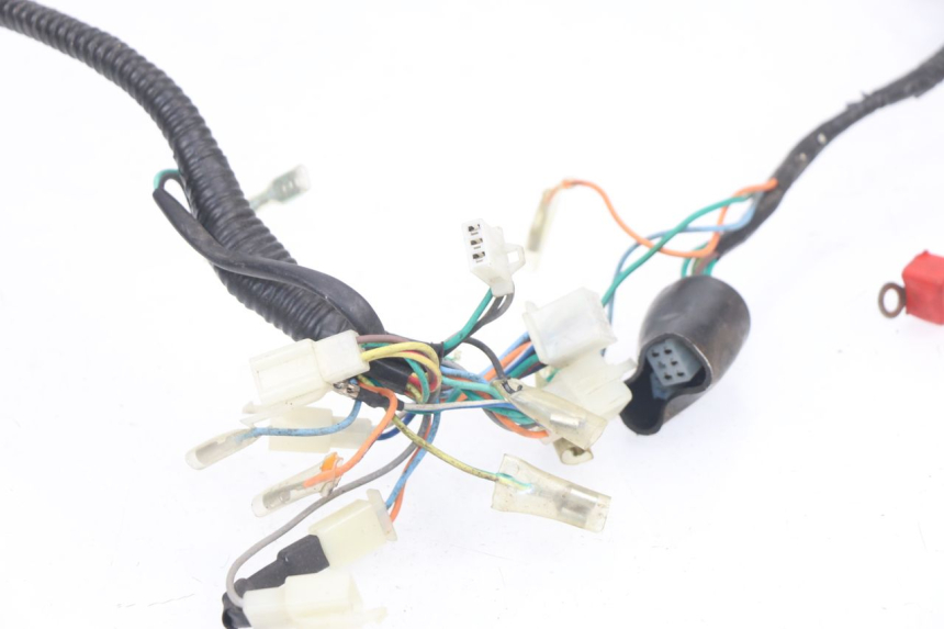 photo de CABLEADO BHM WACO 4T 50 (2008 - 2015) - Vista general del producto
