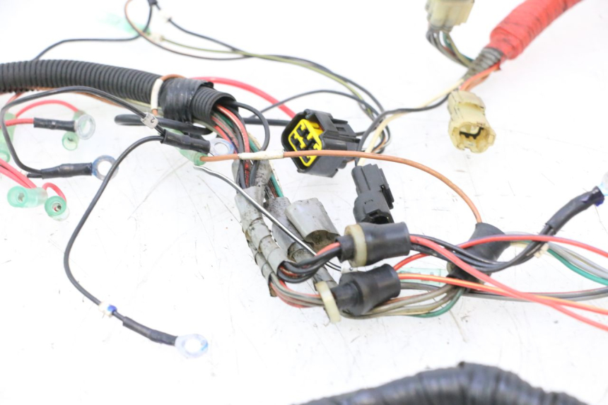 photo de CABLEADO YAMAHA WAVE RUNNER GP R 1200 (2000 - 2003) - Características distintivas