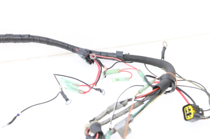 photo de CABLEADO YAMAHA WAVE RUNNER GP R 1200 (2000 - 2003) - Enfoque en la estructura