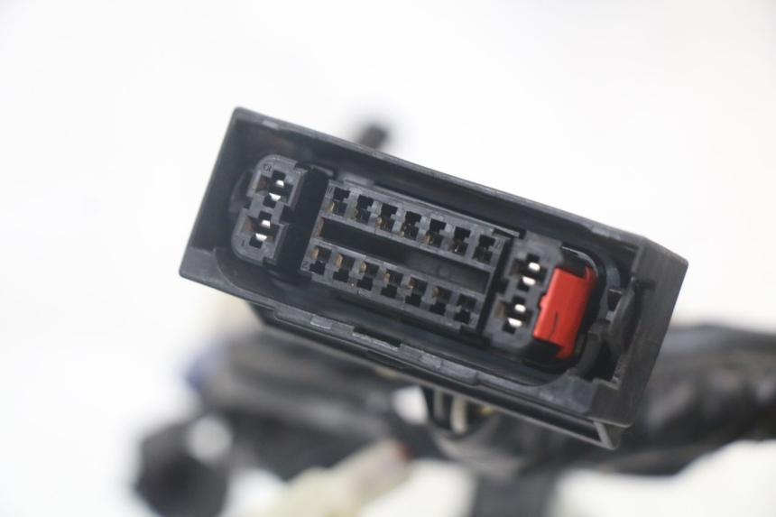 photo de CABLEADO YAMAHA XMAX X-MAX ABS 125 (2017 - 2020) - Zoom sobre los componentes