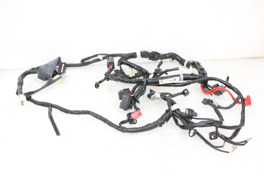 photo de CABLEADO YAMAHA XMAX X-MAX 125 (2021 - 2025) - Vista principal