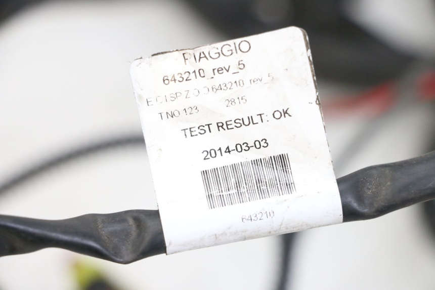 photo de CABLEADO PIAGGIO X10 125 (2012 - 2017) - Primer plano técnico