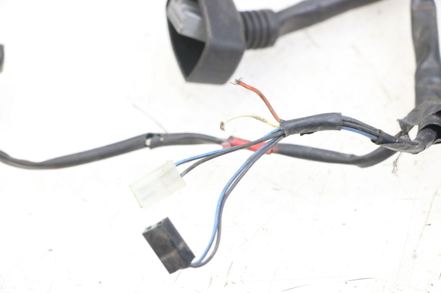 photo de CABLEADO PIAGGIO X10 125 (2012 - 2017) - Recambio usado revisado