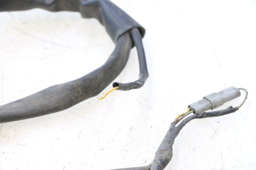 photo de CABLEADO PIAGGIO X9 AMALFI 180 (2000 - 2003) - Enfoque en la estructura