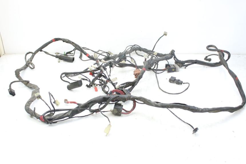 photo de CABLEADO PIAGGIO X9 EVOLUTION 125 (2003 - 2007) - Vista principal