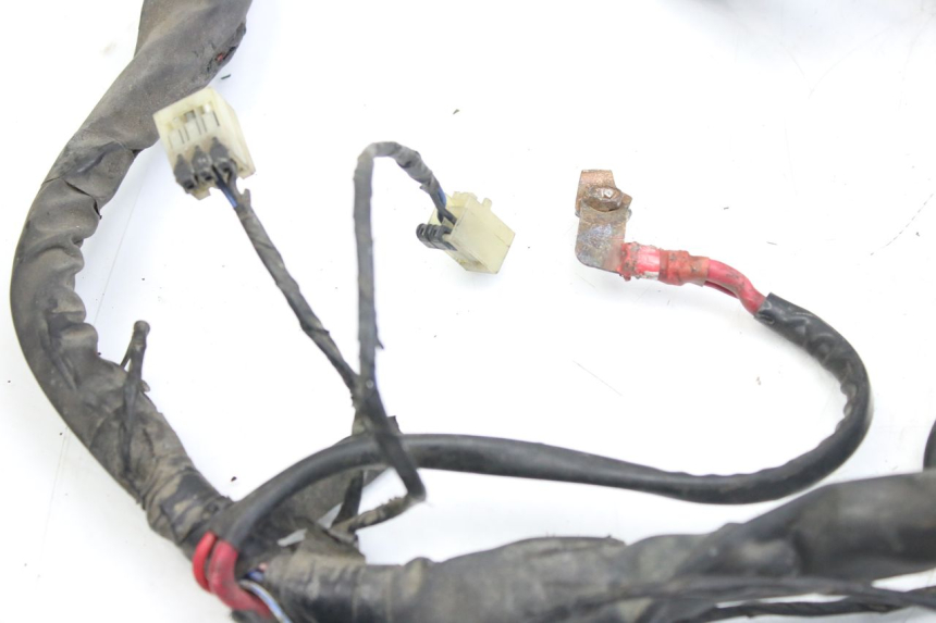 photo de CABLEADO PIAGGIO X9 EVOLUTION 125 (2003 - 2007) - Zoom sobre los componentes