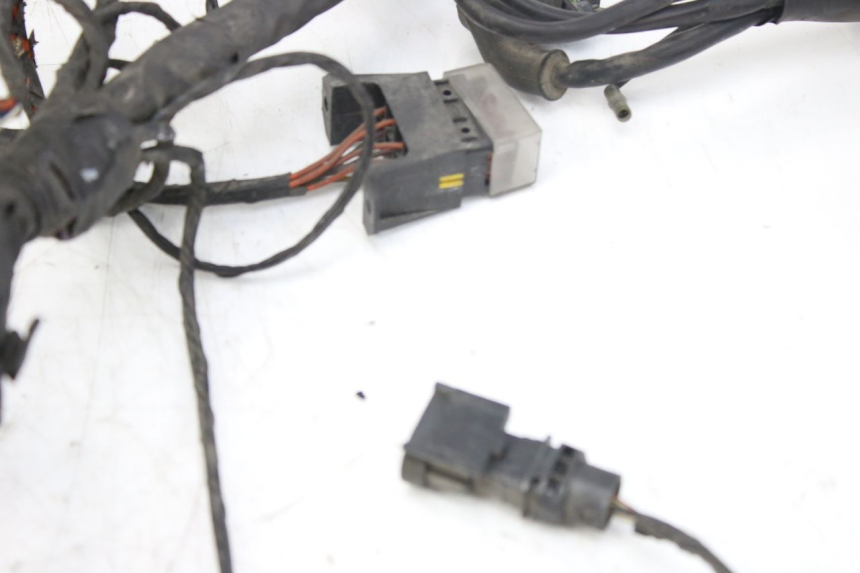 photo de CABLEADO PIAGGIO X9 EVOLUTION 125 (2003 - 2007) - Vista general del producto