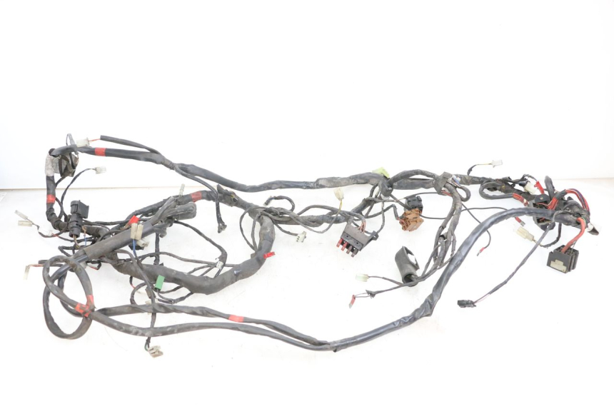 photo de CABLEADO PIAGGIO X9 125 (2000 - 2003) - Vista principal